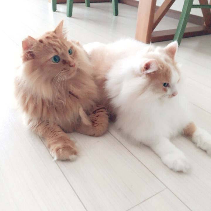 97baec7f cfa7 4b5a b243 e5f76f0075b5