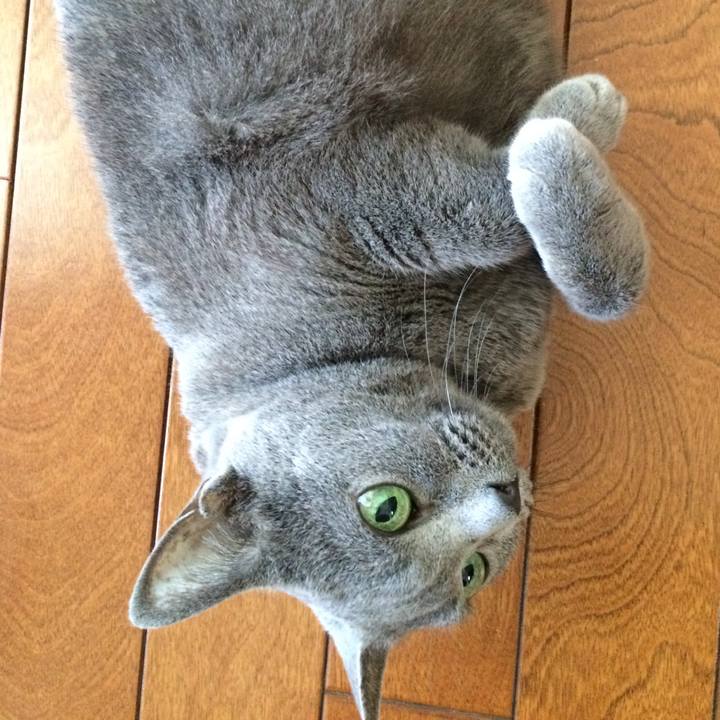 97bb8469 a468 4167 a796 fc72e67d51ac