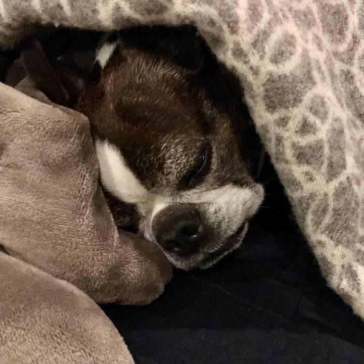 97bb9250 606d 48d6 a00e d380e15fe94b