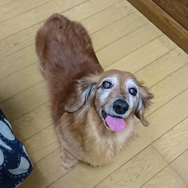 97bc3551 829e 49de b9ec 2ec92e83fb8b