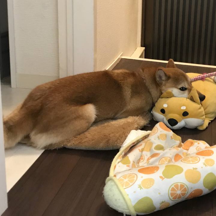 97bc8995 1aaa 447e 9c11 9fa43276cb17