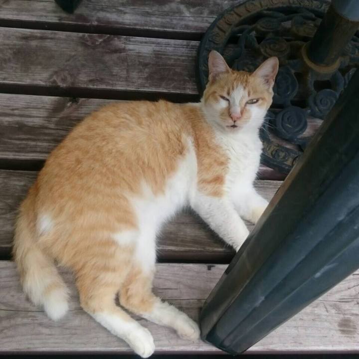 97be8dc9 4820 4b38 8092 3b098e3bf186