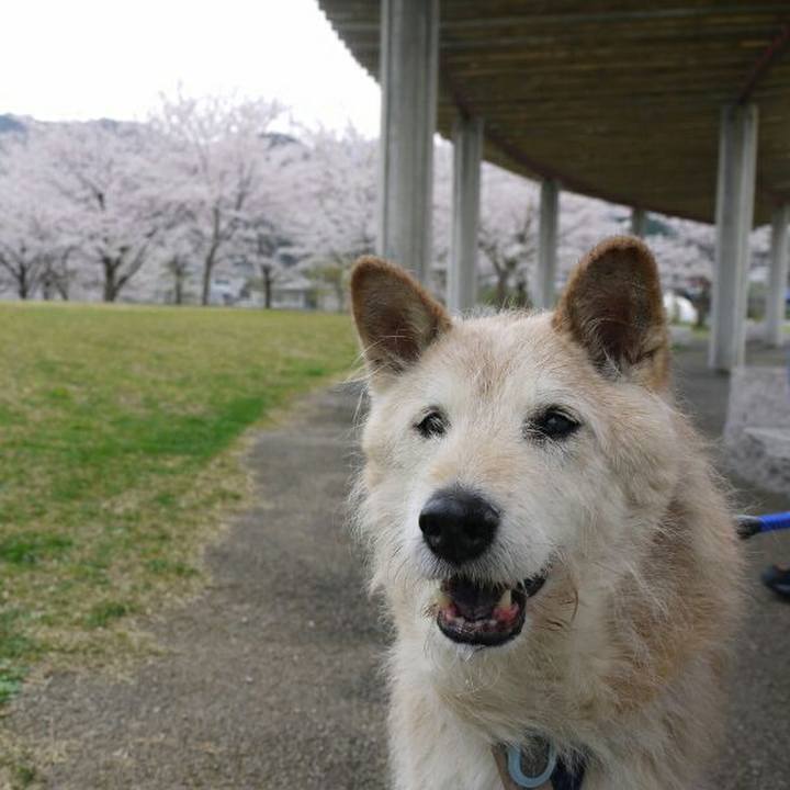 97c062e7 5131 4aa2 a5cb 7274ea57982a