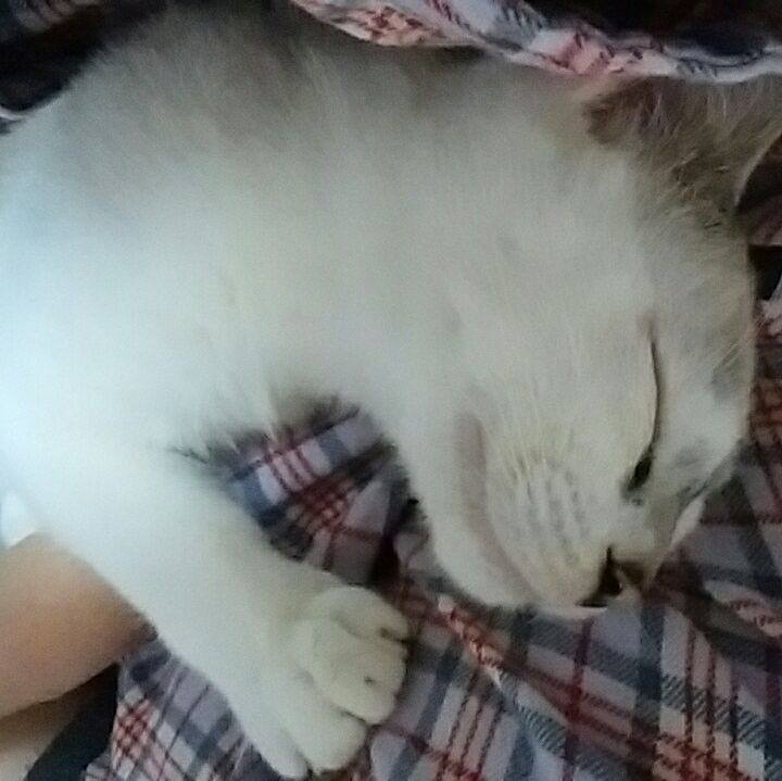 97c12e1c bd09 436d 9082 172932716562