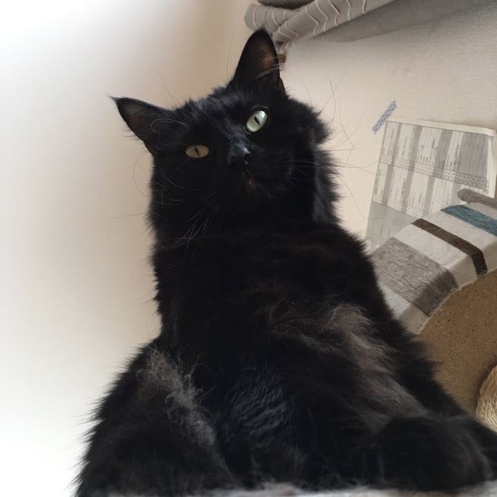 97c1ebd0 43ab 4777 8f8e d64f222eb65f