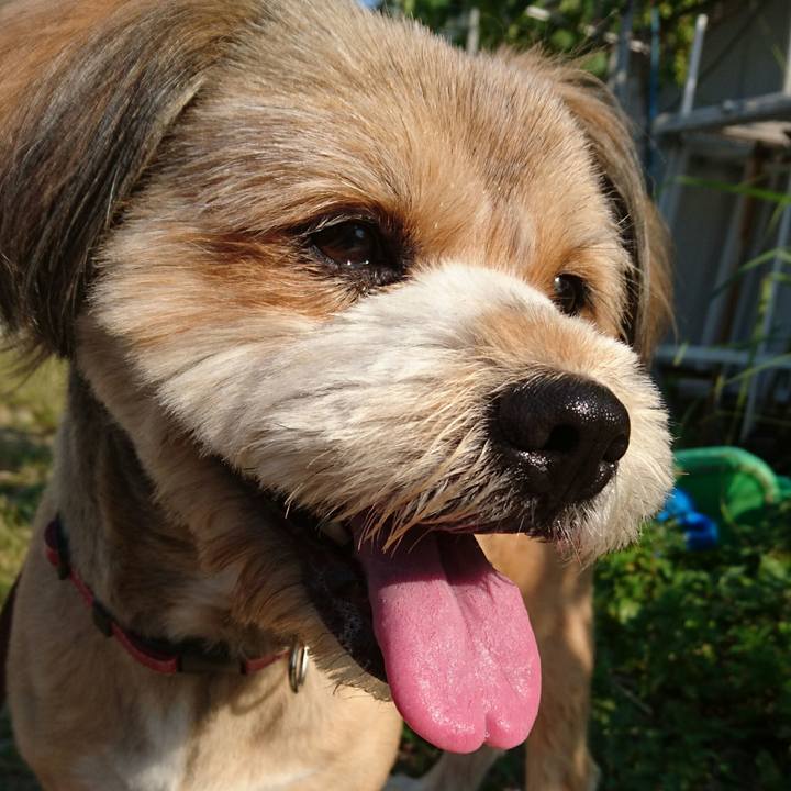 97c224c7 418a 49ec ba98 8b0437e0d999