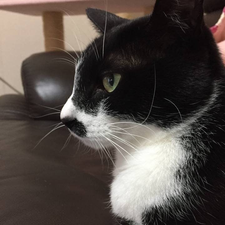 97c22836 b935 40cb b3cd 818c0afcac02