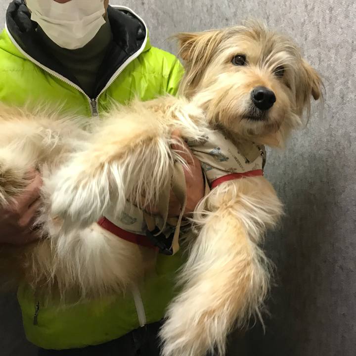 97c2939c 507c 4941 a6fc ac3558ab22b4