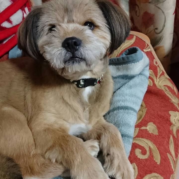 97c2a0fc a8cf 41f0 8352 fa793912d4ac