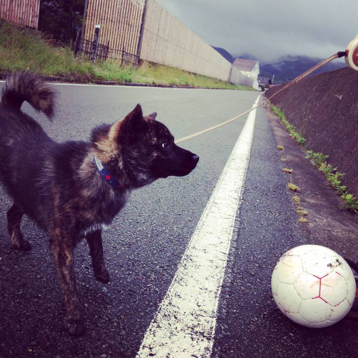 97c2ffec ee51 4eb5 a38e 74233145c356