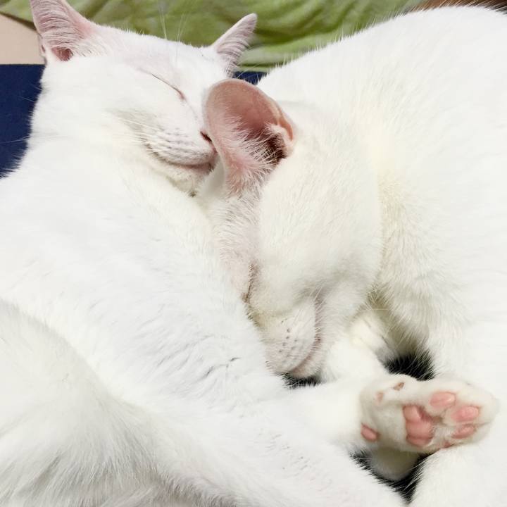 97c36280 15a6 4f54 8b14 1c51876a4d4c