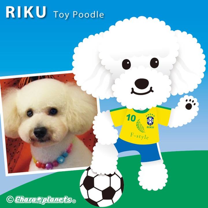 97c3a1ea ea11 4180 b134 c1773f54e391