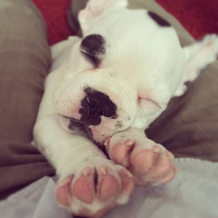 97c3b034 da2d 4570 9d99 4c040ff57ec4