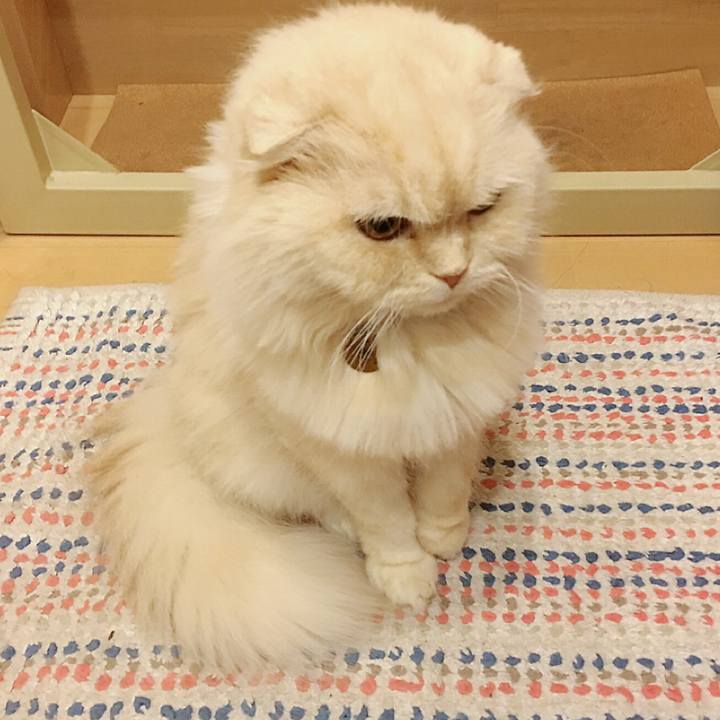 97c3e352 3f14 4232 9a6f 621b42d442d3