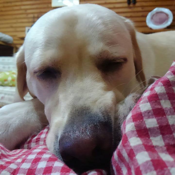 97c45a9f 5797 4995 9334 fce28157185a