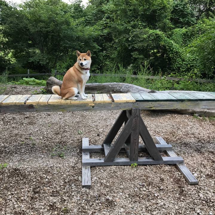 97c53b98 dd5a 489d bf43 065eca9d4074