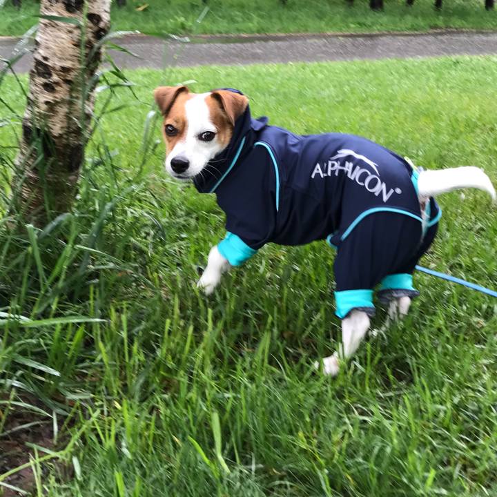 97c53dda 170f 433d b1ba f9af47567ebd