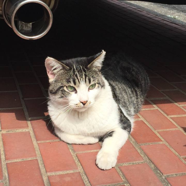 97c5783f ef79 4d1e 91e7 a0e6a4a59ed4