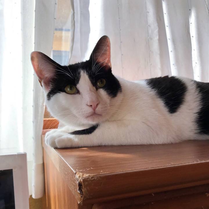 97c59e7a f398 47e3 873a ccfcd5464d66