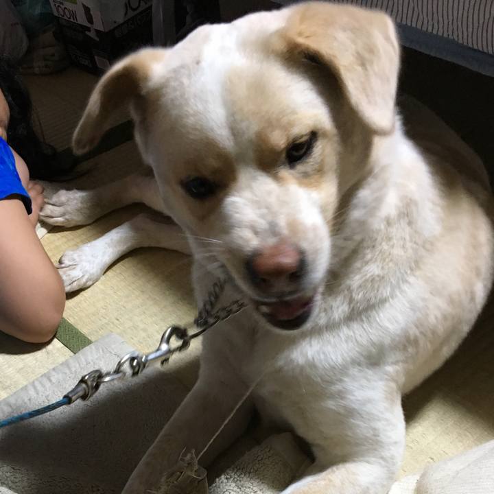 97c5ea1d da2a 4b2a 8147 e672374b7d8b