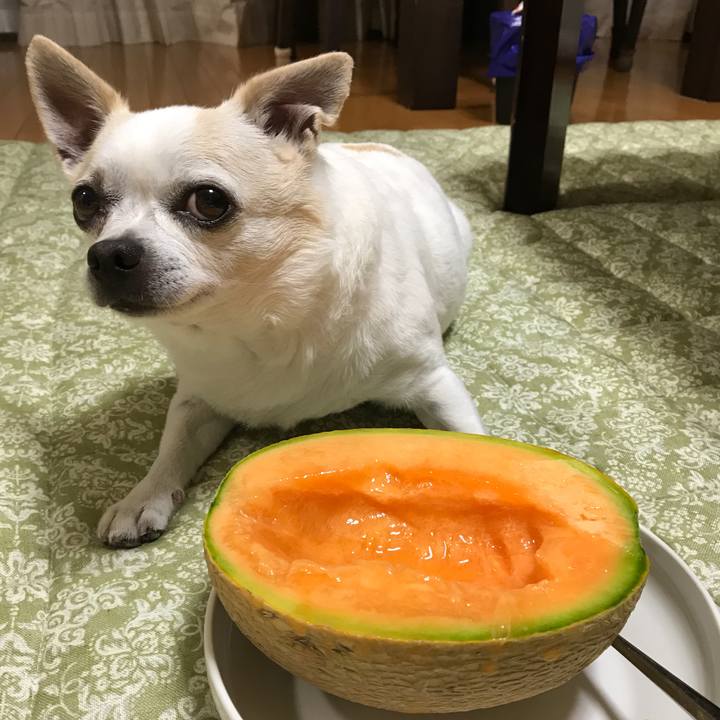 97c694a4 6557 4485 a76e c866ca507d80