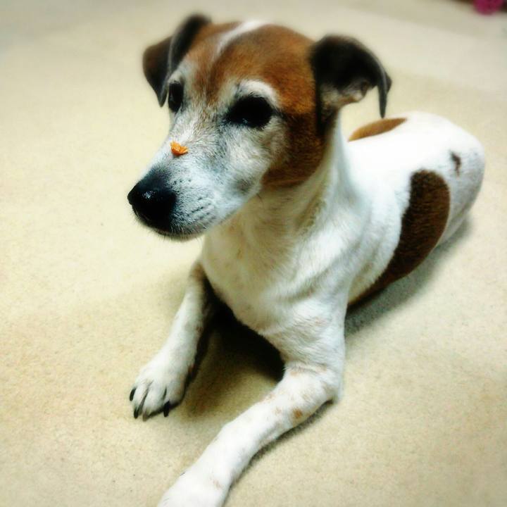 97c6e3f7 1c0c 4d3a 9354 52d62dd937e4