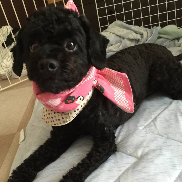 97c71950 46f2 4e71 9cc6 5d720362f38b