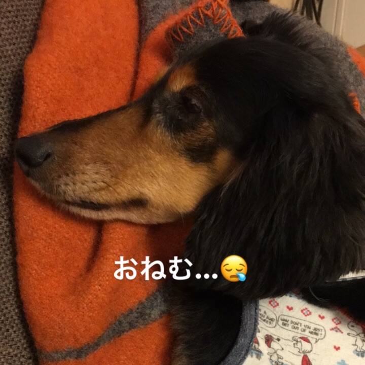 97c7aaf6 7f49 4060 8ef5 d5e7acbf1456