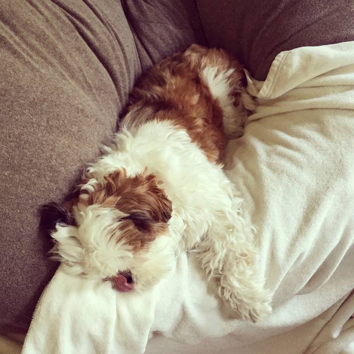 97c7b6f7 24fa 467d 970a 1e08b067bb77