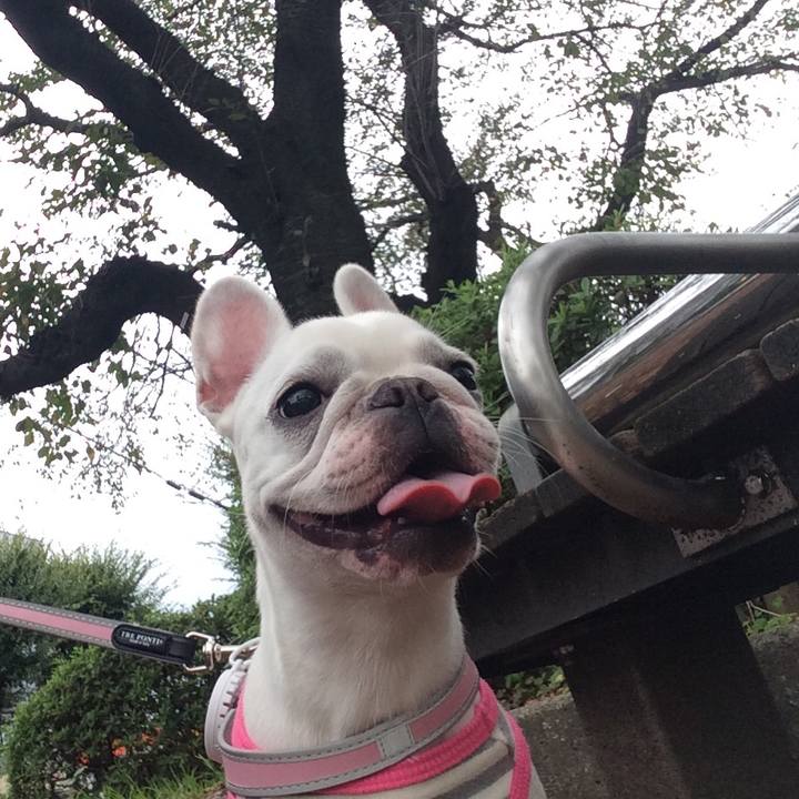 97c7c3d5 37e2 4137 8836 cf5928a05dff