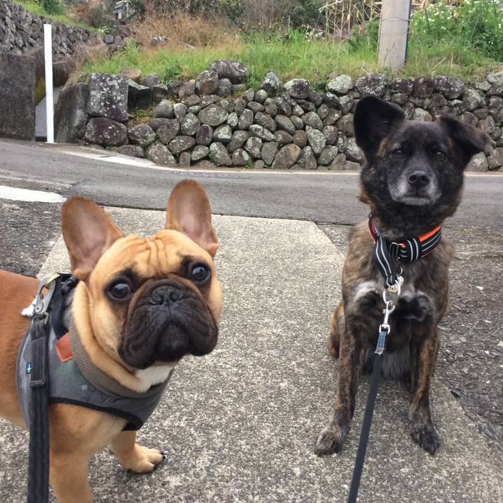 97c7fa38 a83f 44b4 9e33 853b0864ebb7