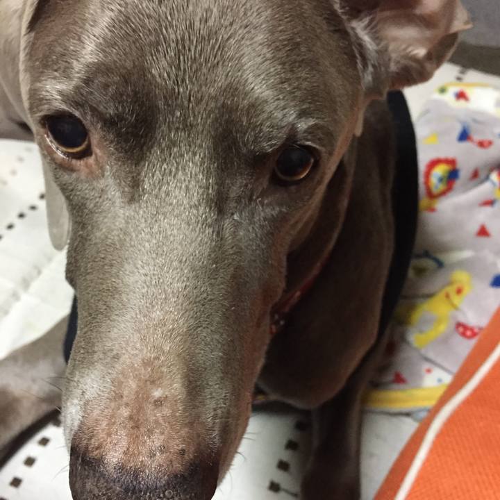 97c95af4 544f 489b b8cf bbefa51e192e