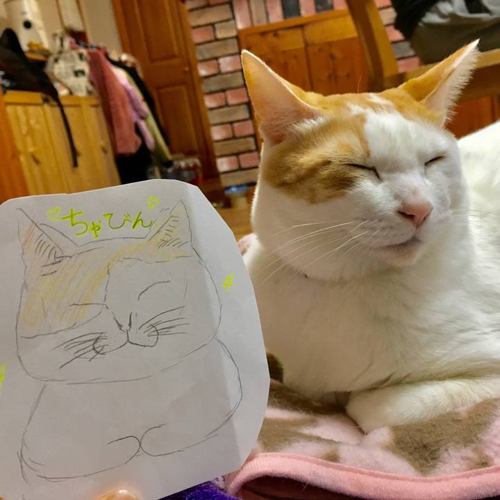 97c9bca8 9df3 4a89 a23f d77e916606d2