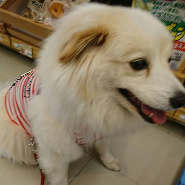 97ca2890 9e56 43e9 8089 6306301cfe26