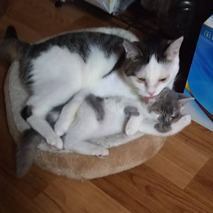 97ca62ea 73cd 4a79 b609 3a46619a6f82