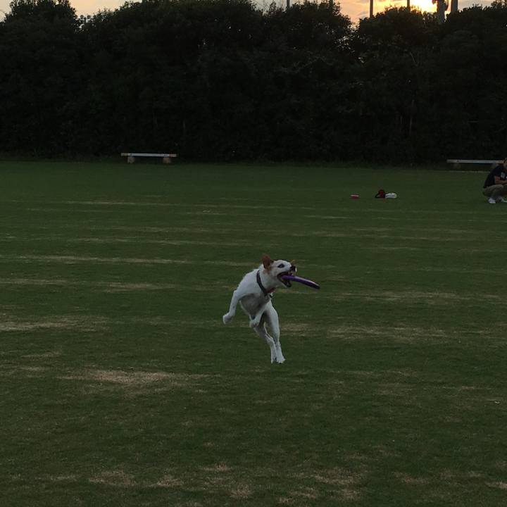 97ca6881 b909 44a0 abef 92b4b6f59576