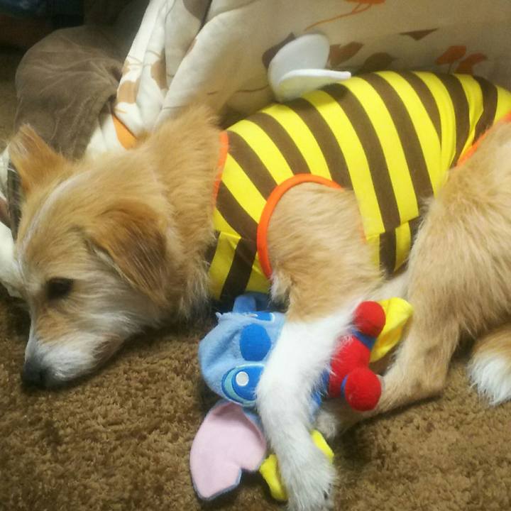 97ccd2d6 3726 43f8 8d13 fd967b26f4bd