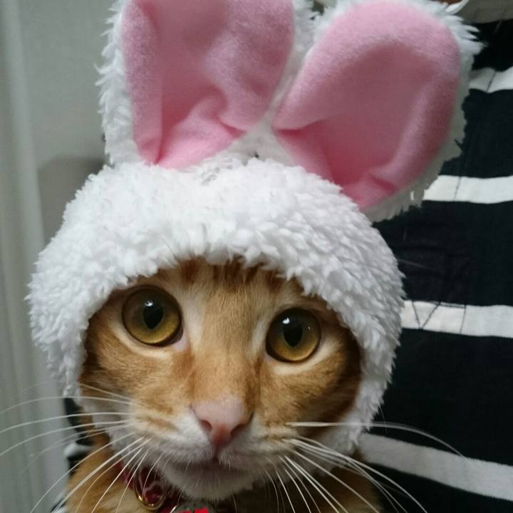 97cdd9a7 260c 433f b105 fca19e6b817b