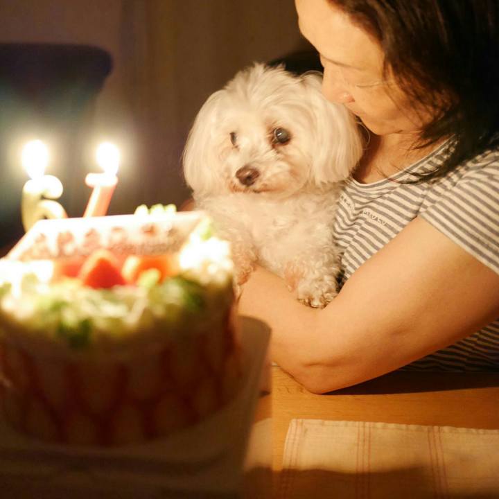 97ce233b 4591 4d9a ab54 4d5ffe91fbb3