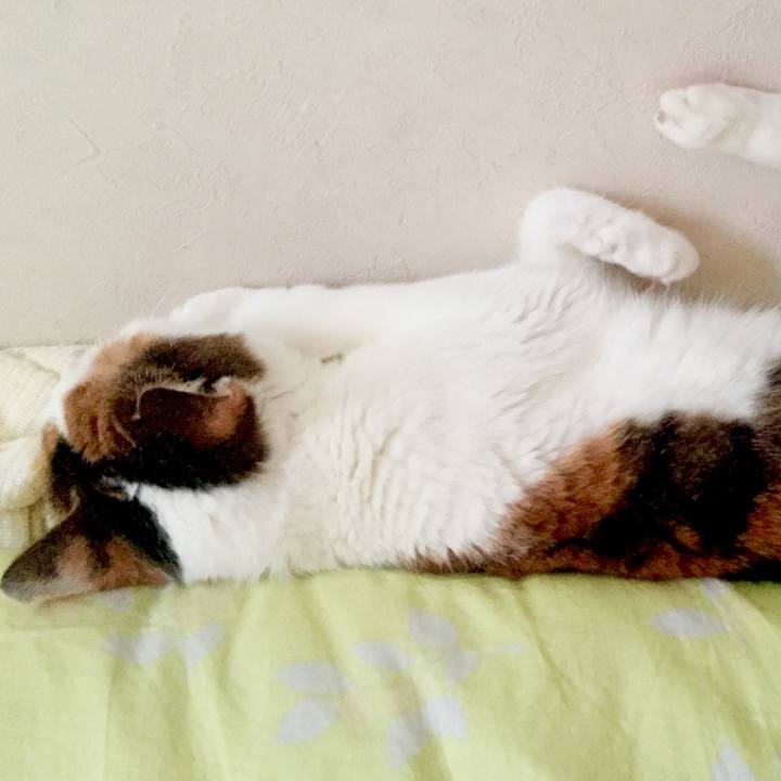 97ceaf07 66a7 4ad0 97e8 0dad05d9d672