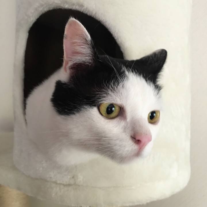 97cf2a9f f872 4730 bb50 134aa0f5761c