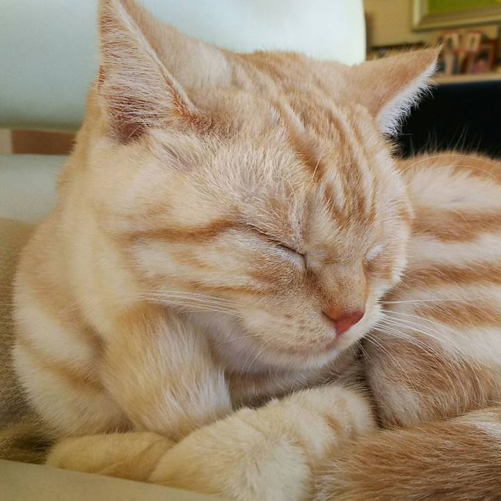 97cfab17 1652 4dc5 aaf0 ffb1cd912607