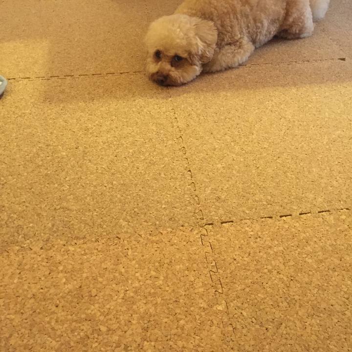 97cfc987 d640 4859 b8c7 9bc6bdd14274