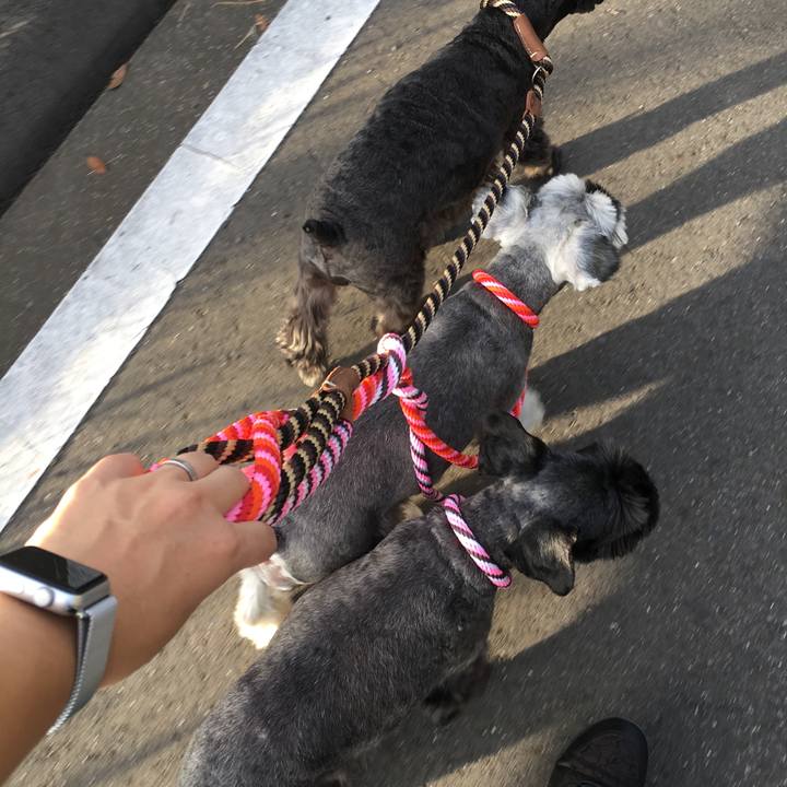 97d0da6c 22d5 4ab8 9905 b7e7933bfe5b