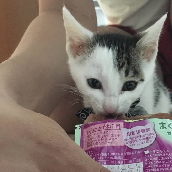 97d100d9 4b93 46f9 9f47 24590081abb8