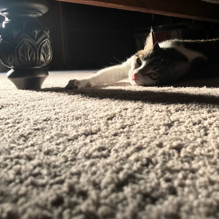 97d15280 b9fc 45c3 ba37 936769229e83