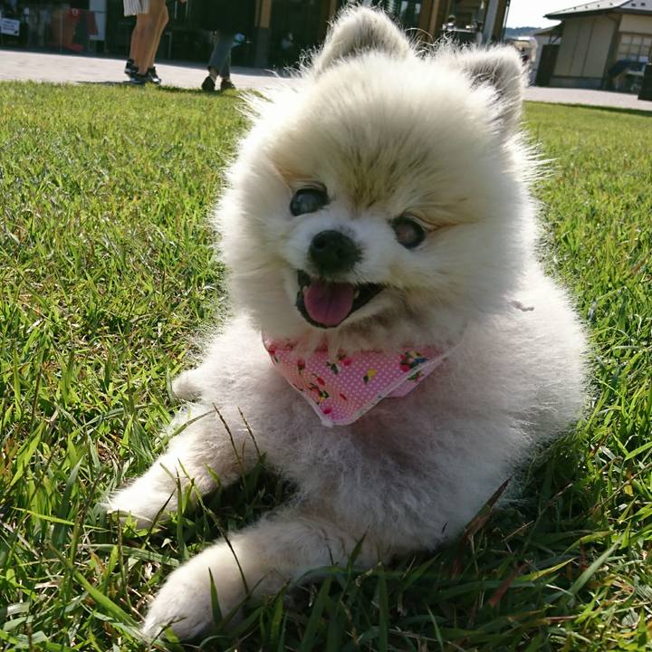 97d1e7f6 79f5 4c52 a65b 2933bc4b0f89