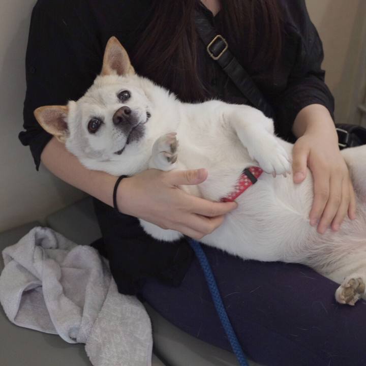 97d1ed65 de8e 495d 878b 7781b66f70bb