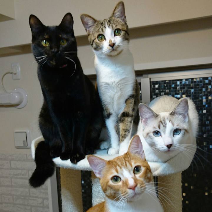 97d1f71c bb58 4033 b050 359fa3ea3bbb