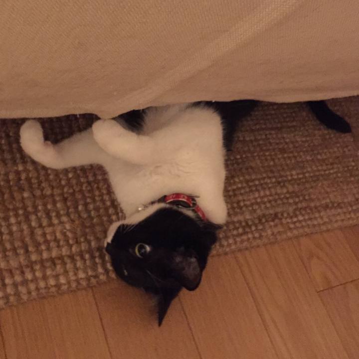 97d236b0 086b 4db9 82e1 e4b890e26dbc